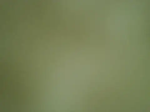 Quarentaoon online show from October 4, 2025, 3:32 pm
