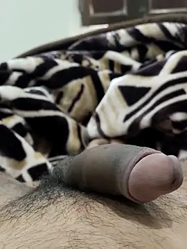 Bull54321 online show from February 14, 2026, 6:54 am