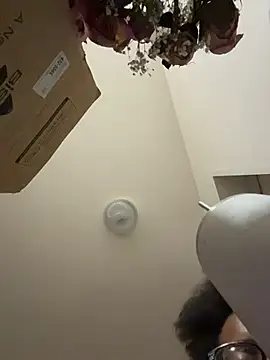 Tu GataLinda online show from November 19, 2025, 9:26 pm