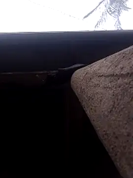 lady helen00 online show from November 15, 2025, 6:55 am