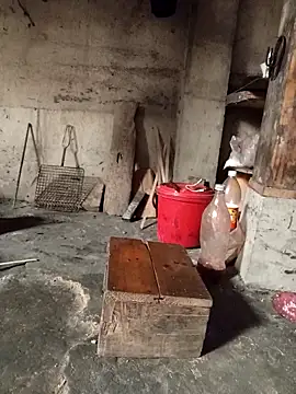 TinTin321 online show from March 3, 2026, 5:24 am