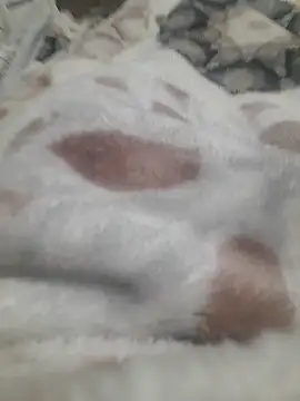 ratoncito 3 online show from January 16, 2026, 5:50 pm