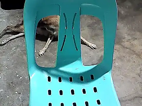 sexyannie25 online show from November 24, 2025, 6:18 pm