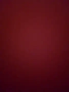 Snapshot of curvybrunnett chatting on February 14, 2026, 3:58 am curvybrunnett online show from February 14, 2026, 3:58 am