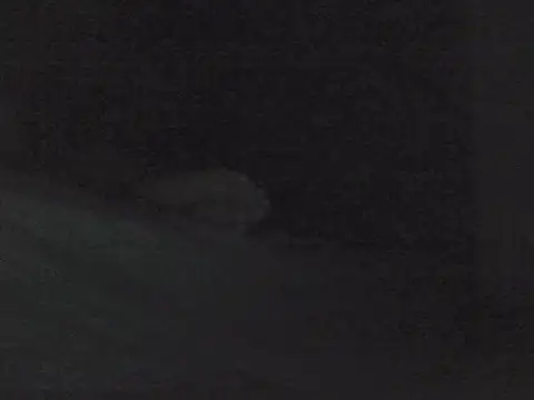 sarahkat86 online show from October 30, 2025, 1:01 pm