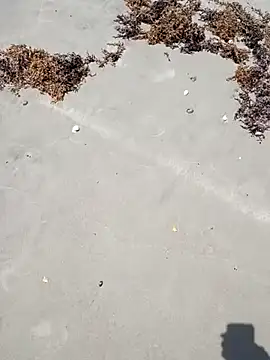 sarahkat86 online show from April 6, 2026, 4:52 pm