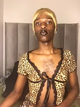 Trans fairy online show from October 25, 2025, 7:30 pm