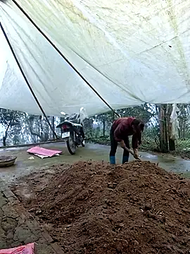 ngocngoc cute online show from March 7, 2026, 2:41 am