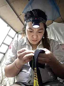 naop04 online show from November 6, 2025, 11:33 am