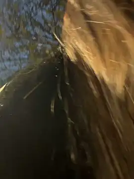 -juicy  online show from February 17, 2026, 11:22 pm