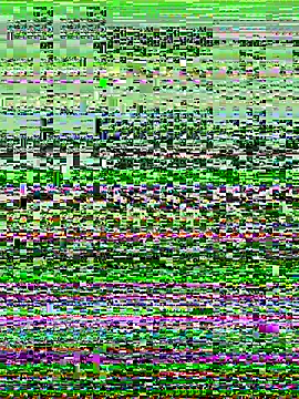 BigMfLuther online show from October 15, 2025, 2:06 pm