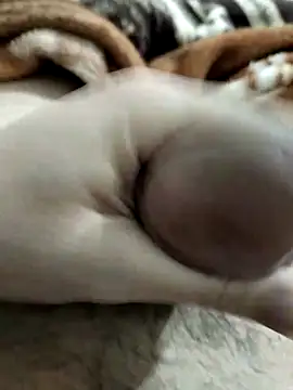 Snapshot of Zepe_12 chatting on March 1, 2026, 10:12 pm Zepe 12 online show from March 1, 2026, 10:12 pm