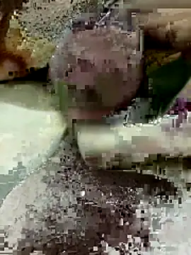 Snapshot of Zepe_12 chatting on March 22, 2026, 8:12 pm Zepe 12 online show from March 22, 2026, 8:12 pm