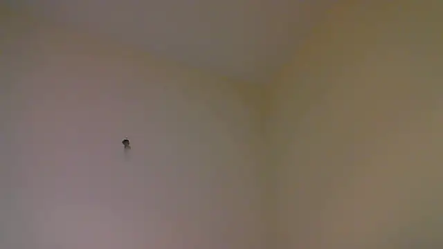 str8matesirishoz online show from October 15, 2025, 4:01 am