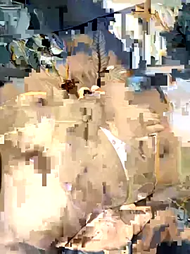 desitease online show from September 15, 2025, 8:03 am