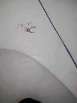 Celestial Field online show from April 9, 2026, 4:45 pm