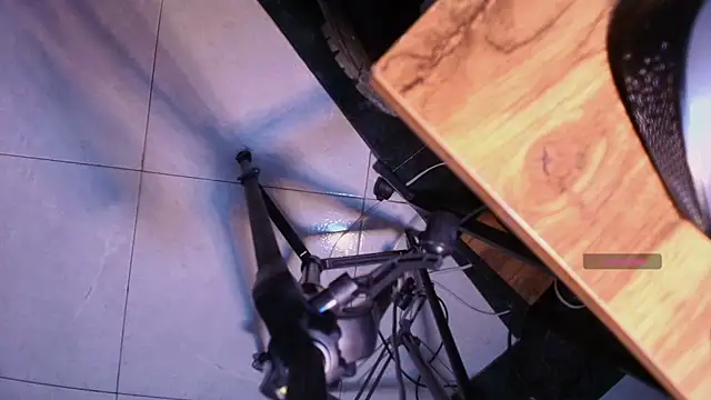 Terraelowen online show from November 10, 2025, 11:31 am