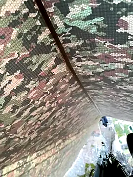 Alabestia12 online show from November 11, 2025, 11:21 am