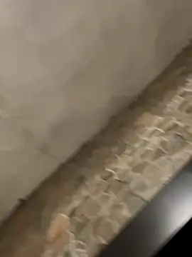 Snapshot of BrandonBlack chatting on February 7, 2026, 12:25 am BrandonBlack online show from February 7, 2026, 12:25 am