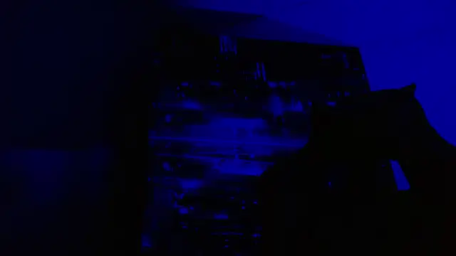 Snapshot of alexgiraldo__ chatting on May 27, 2026, 6:49 pm alexgiraldo online show from May 27, 2026, 6:49 pm