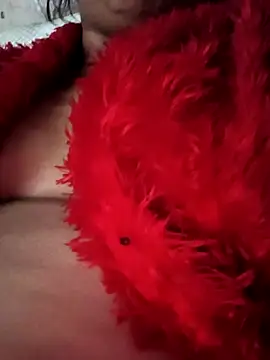 heena3355 online show from November 20, 2025, 4:12 am