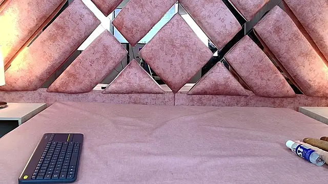 Snapshot of SkarlettAry chatting on November 13, 2025, 2:49 pm SkarlettAry online show from November 13, 2025, 2:49 pm