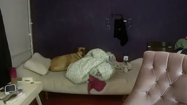 turkishTransEfsun online show from November 3, 2025, 10:05 am