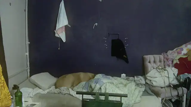 turkishTransEfsun online show from March 19, 2026, 12:42 pm