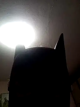 Snapshot of AmandaXXX98 chatting on November 17, 2025, 2:56 pm AmandaXXX98 online show from November 17, 2025, 2:56 pm