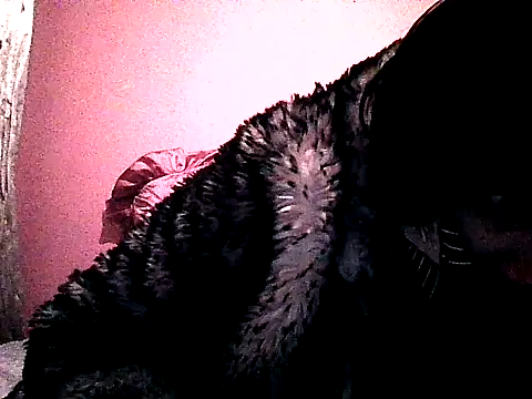 Snapshot of shemale_fantasyXX chatting on June 27, 2026, 11:43 pm shemale fantasyXX online show from June 27, 2026, 11:43 pm