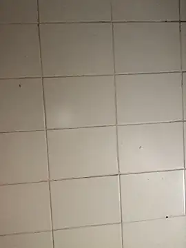 Novinhodotadomg online show from November 5, 2025, 8:09 pm