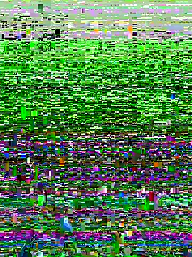 Novinhodotadomg online show from November 15, 2025, 7:43 pm