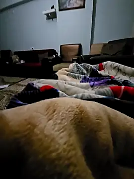 fena-sikerimmm online show from February 21, 2026, 2:45 am