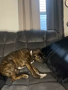 Snapshot of StableQuakers chatting on March 12, 2026, 12:22 pm StableQuakers online show from March 12, 2026, 12:22 pm