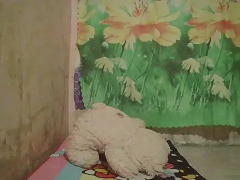 sexymorenal18 online show from September 27, 2025, 1:38 pm