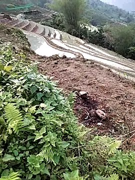 PhamPm70 online show from April 2, 2026, 9:51 am