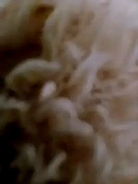 hanan-sex online show from November 29, 2025, 7:28 pm