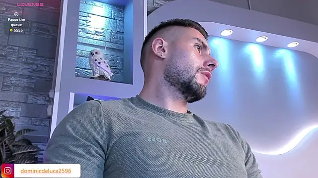 Snapshot of dominic_de_luca chatting on February 10, 2026, 4:16 am dominic de luca online show from February 10, 2026, 4:16 am