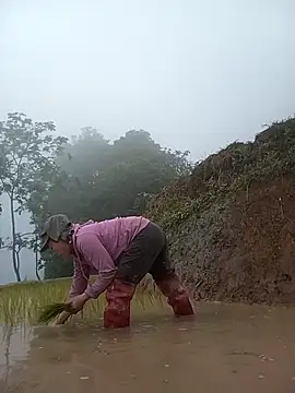 CoMay003 online show from April 18, 2026, 10:30 am