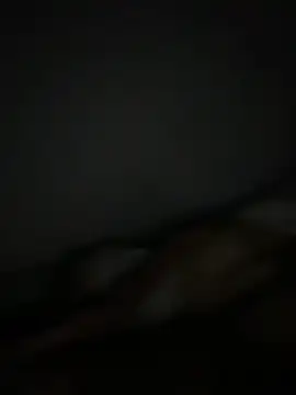 Smallboybigworld online show from February 11, 2026, 9:42 pm