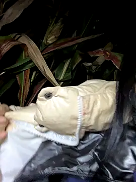 Snapshot of qqxgjj chatting on September 25, 2025, 2:54 pm qqxgjj online show from September 25, 2025, 2:54 pm