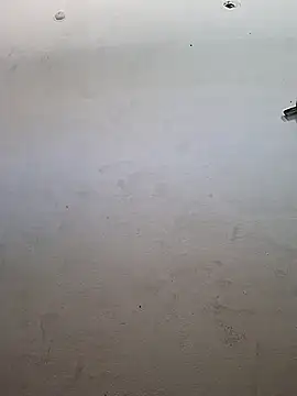 msandmr online show from November 19, 2025, 4:34 am