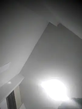 luislimafuego online show from March 29, 2026, 8:03 am