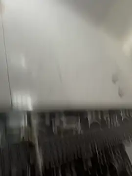 NoddingScorpion online show from March 8, 2026, 10:30 am