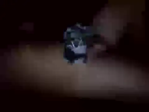 Nalguitas99 online show from October 23, 2025, 4:45 am