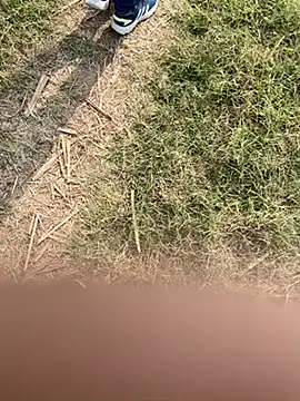 Desiandaj online show from November 29, 2025, 5:32 am