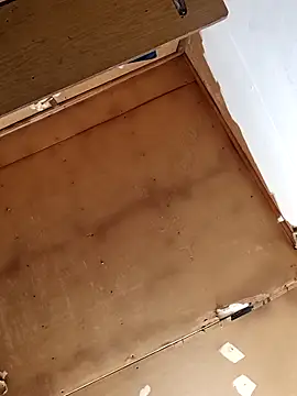 lucho2328 online show from January 13, 2026, 8:03 pm