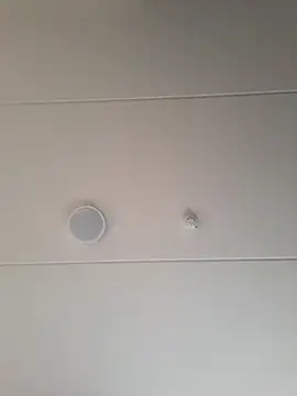 geilerd122 online show from October 19, 2025, 3:56 pm