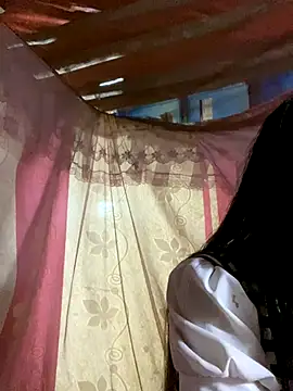 PhanHaa online show from November 23, 2025, 12:49 pm