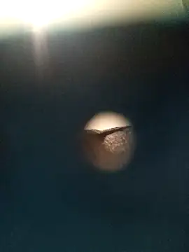 Sonya51561 online show from November 26, 2025, 2:51 pm